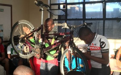 Blood, Sweat and Gears