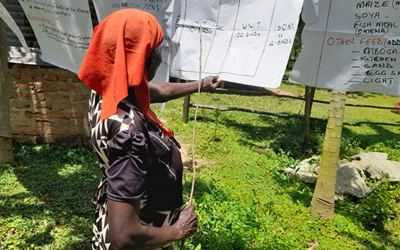Farmer Field Schools