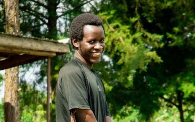 The Ministry of Falling Numbers